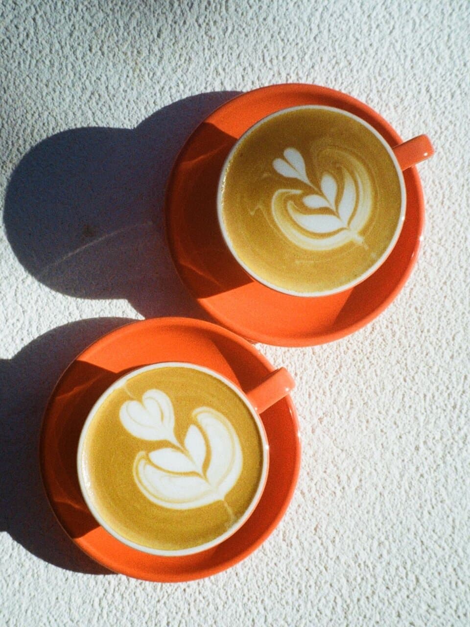 Two flat whites in CONA's signature orange cups, latte art shot from above in afternoon sun